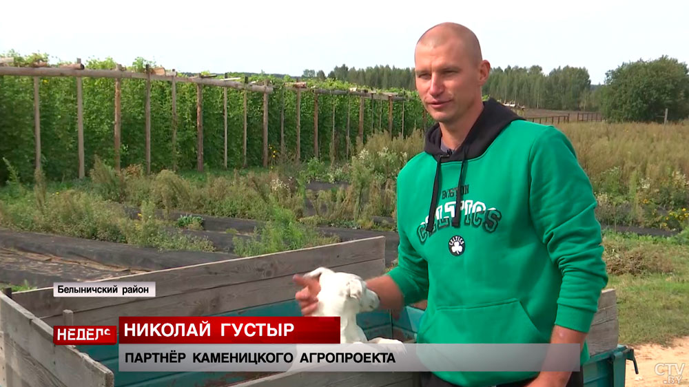 Среди фермеров – македонец и спортсмен. Эти аграрии с нуля развивают агробизнес и выращивают голубику-36