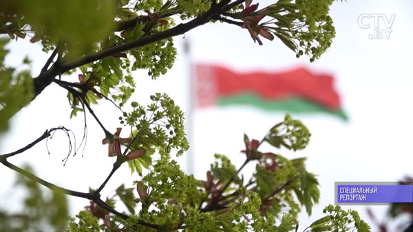«Раз в полгода мы его забираем в химчистку»: как стирают главный флаг Беларуси-1