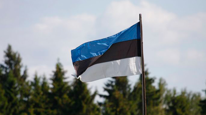 Эстония собирается отдавать Киеву 0,25% своего ВВП