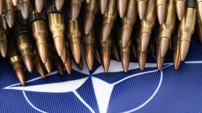 В США опубликовали архивные обещания НАТО не вмешиваться в дела РФ и СНГ