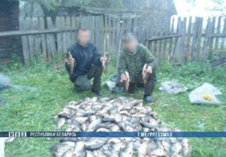 Под Житковичами трое мужчин сожгли охотничьи вышки 