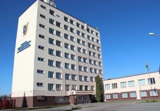 Мужчина продавал щенков смешанных пород под видом немецких овчарок
