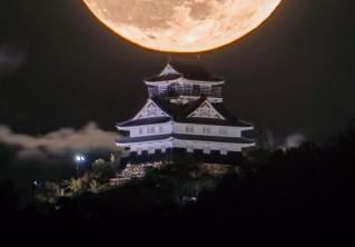 Парень стал фотографом, чтобы делать снимки замков. И теперь его можно считать мастером 