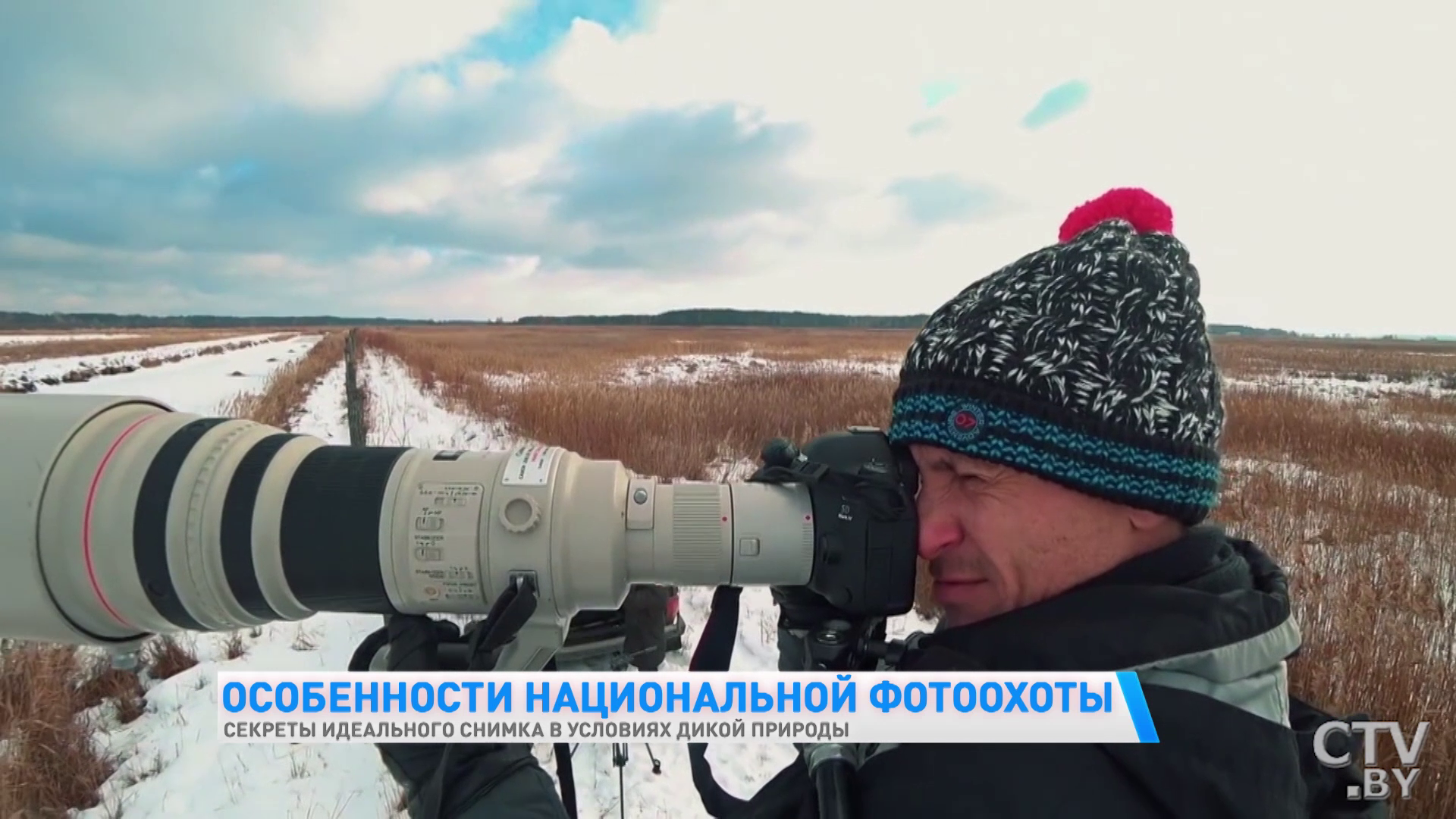 «У меня есть кадр, когда оленуха целует оленя! Я даже не думал, что такое возможно». Фотограф – об уникальных кадрах-10