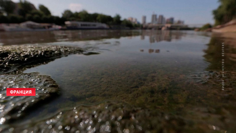 В Париже из-за грязной воды в Сене перенесли соревнования по триатлону-7