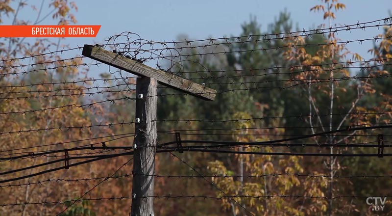 Госпогранкомитет намерен модернизировать 400 км белорусско-польского участка границы-1