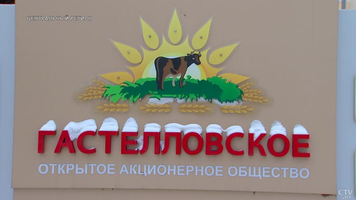 Каждый см земли идёт в дело! Как предприятие «Гастелловское» выбилось в лидеры Минской области?-1