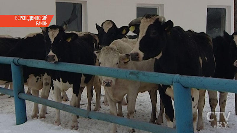 Горячую воду и круглосуточное отопление здесь ждали давно: в агрогородке Шайтерово появился природный газ-15