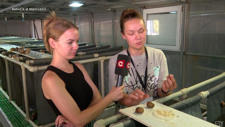 Где потрогать гигантскую улитку и попробовать деликатес на вкус? Нашли крутой парк недалеко от Минска-34