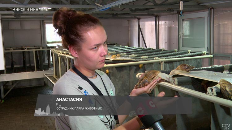 Где потрогать гигантскую улитку и попробовать деликатес на вкус? Нашли крутой парк недалеко от Минска-7