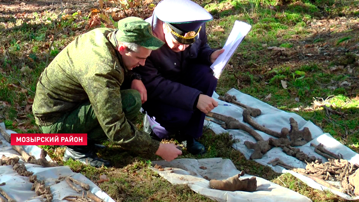 Неизвестные захоронения мирных жителей найдены в Мозырском районе-1