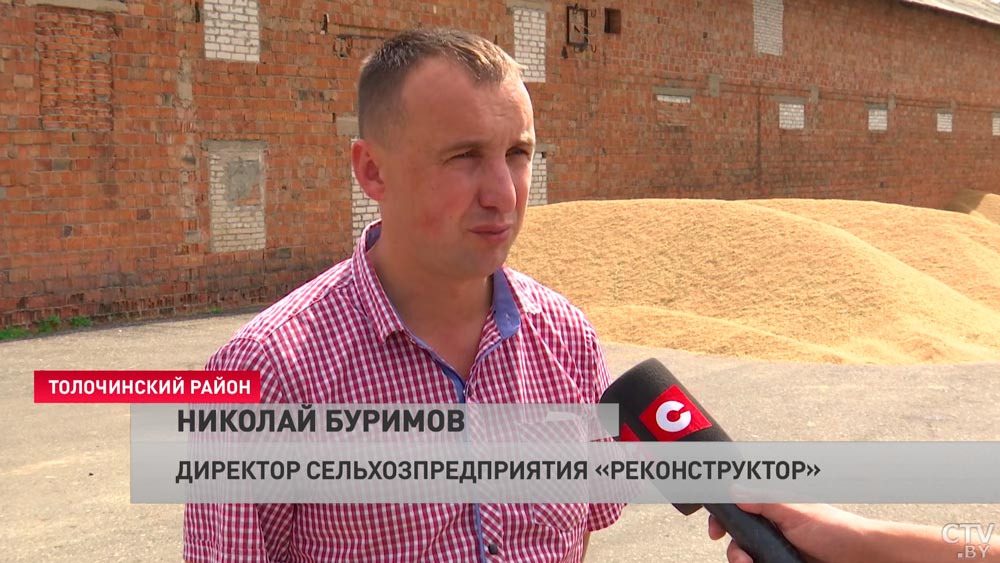 Отчитались о готовности, а комбайнов в полях нет. Какие нарушения выявила Генпрокуратура на уборочной?-16