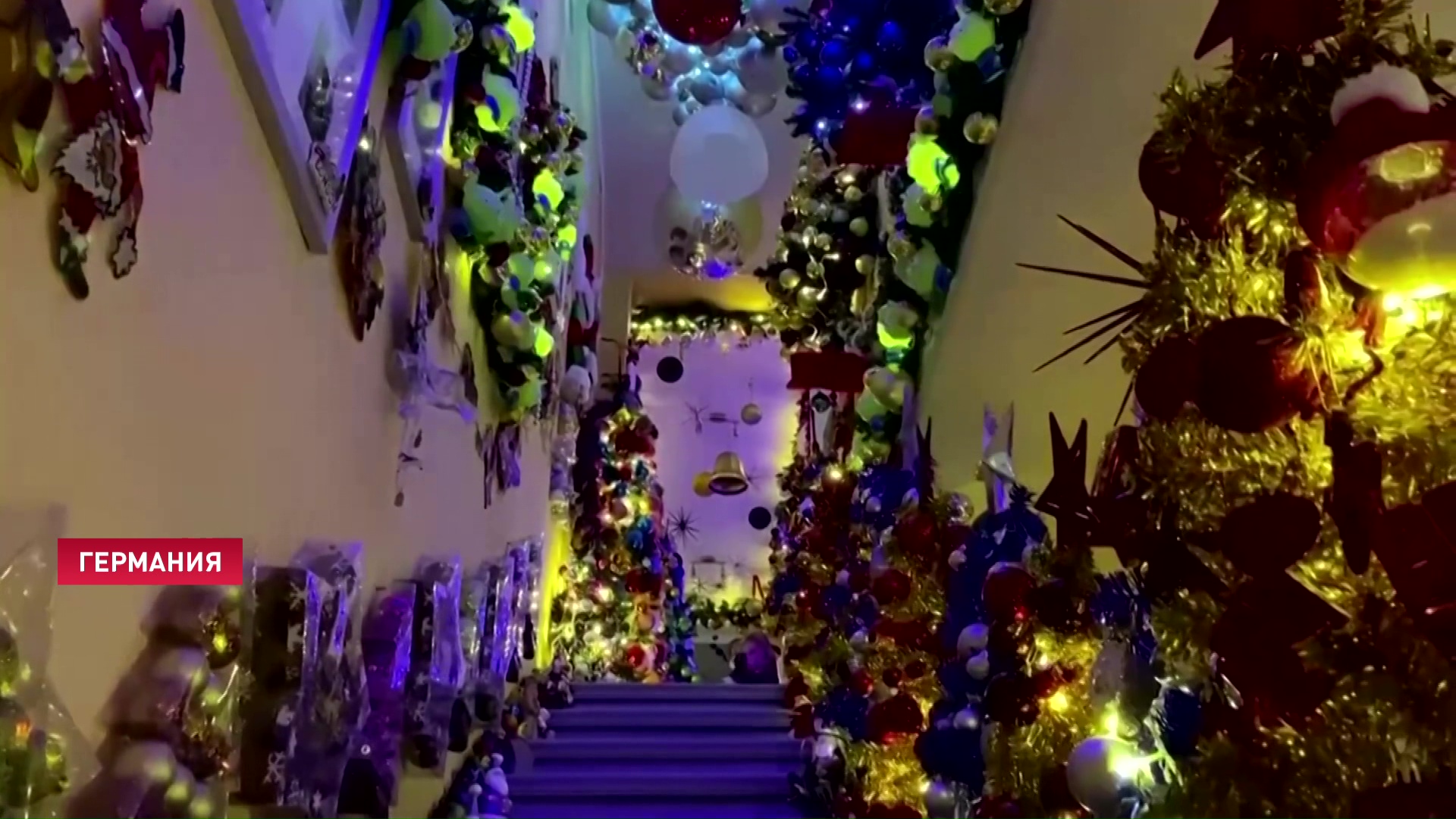 Пара из Германии установила дома 444 новогодние ёлки-1 Пара из Германии установила дома 444 новогодние ёлки-1