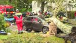 В Германии из-за штормового циклона погибла женщина и серьёзно пострадал ребёнок