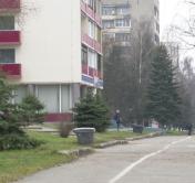 Аромат приближающихся праздников. Ёлочные базары в Минске заработают с 22 декабря