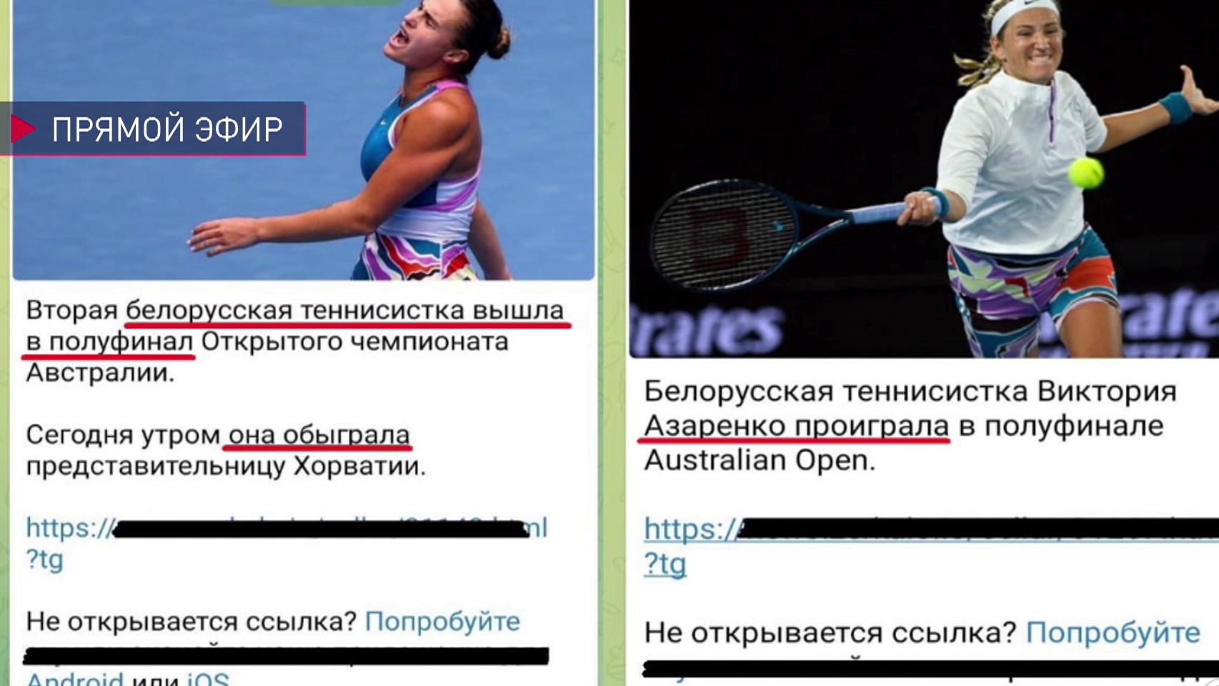 Призывают не болеть за нее. Почему беглые желают проигрыша Соболенко на соревнованиях?