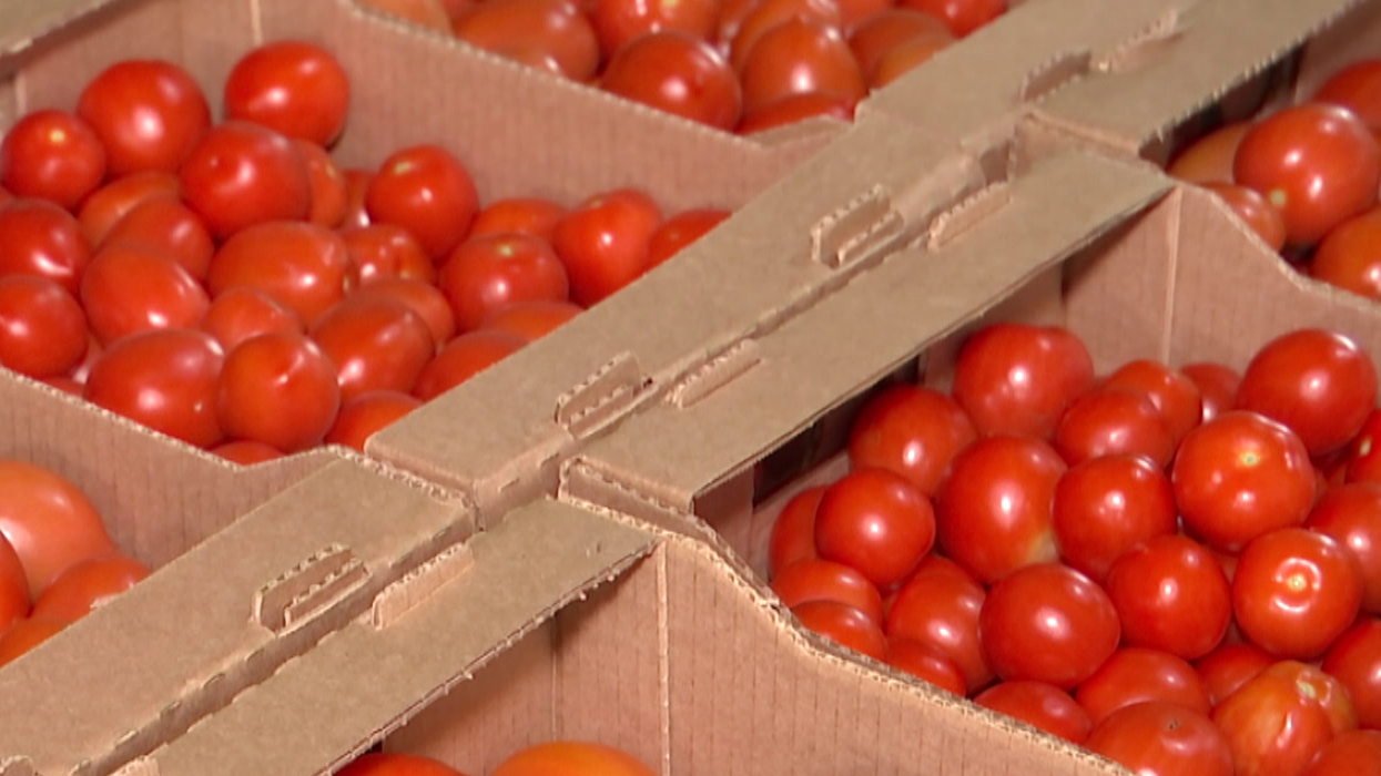 В Минске ежегодно реализуется не менее 35 тыс тонн плодоовощной продукции 