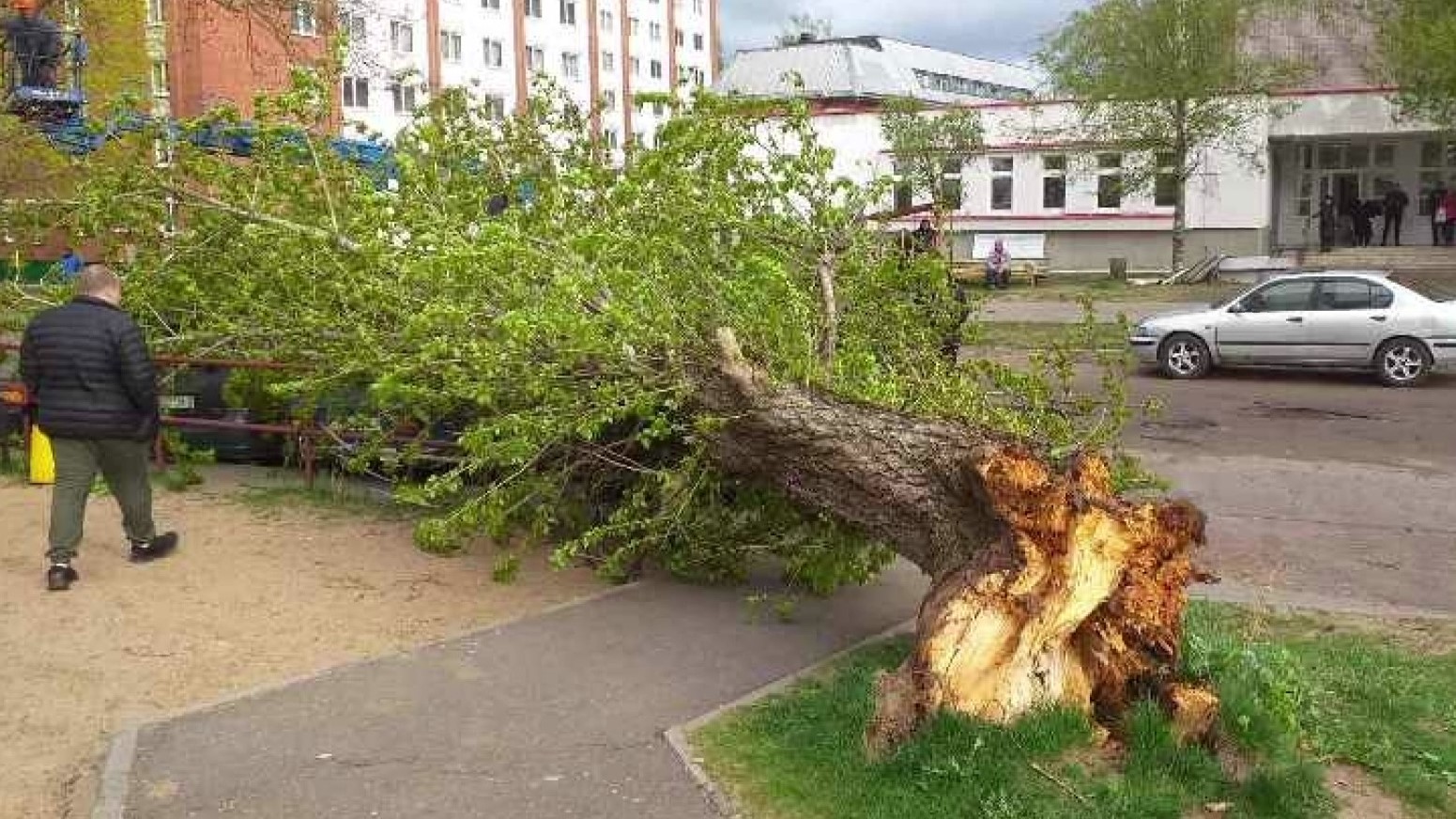 Пострадали 279 населённых пунктов. В Беларуси убирают последствия непогоды