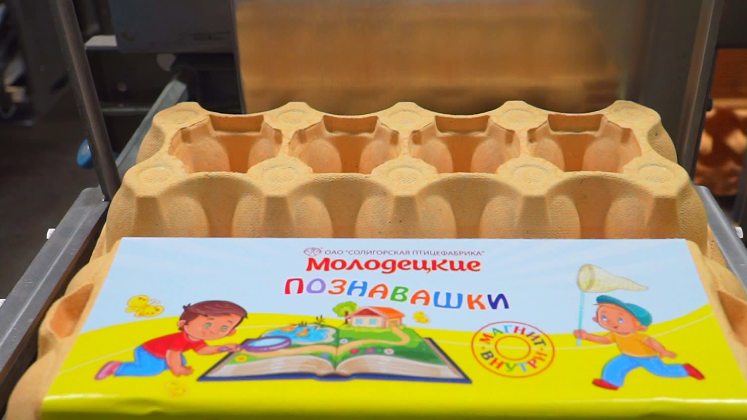 Укрепляют растущий организм. Чем полезны яйца Солигорской птицефабрики?