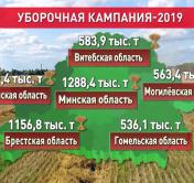  В Беларуси за 8 августа намолотили 30 тысяч тонн зерна 