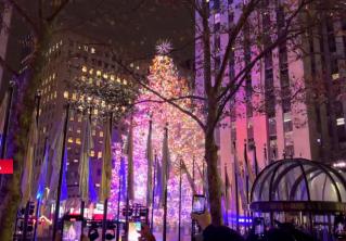 В центре Нью-Йорка зажглась главная рождественская ёлка США. Возраст дерева – 85 лет