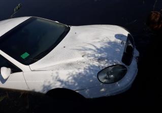 В Гомельском районе легковой автомобиль вылетел в озеро