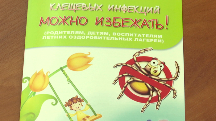 «Раздеваться лучше всего в коридоре». Врачи рассказали, как не подцепить клеща после прогулки