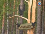 Трёхкомнатный вольер и спецменю:  в Беларуси открыли первый глухариный питомник 