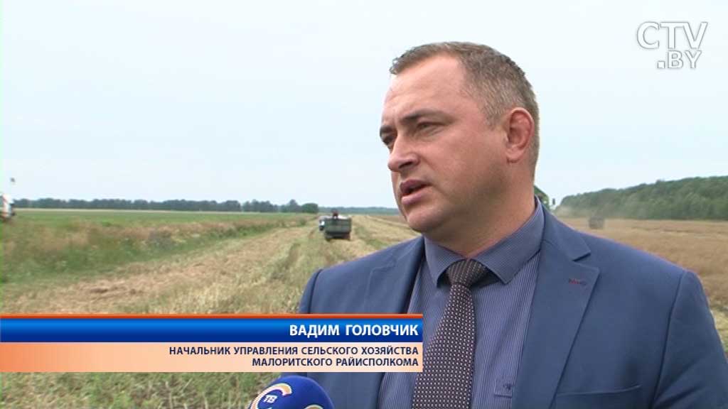 «Работаем, пока солнце светит»: уборочная кампания зерновых началась в Беларуси-4