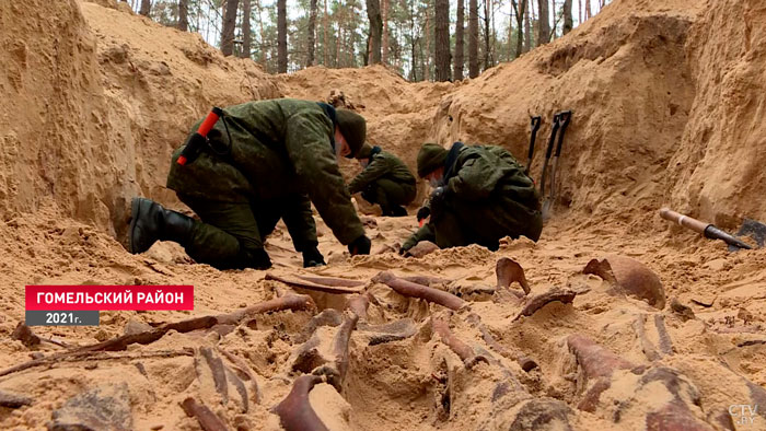 «Взрослеют буквально на глазах». Как молодёжь привлекают к раскопкам времен Великой Отечественной-7