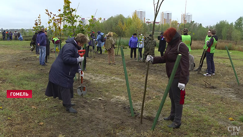 В Гомеле приглашают посадить дерево на «Аллее матерей» в честь своей мамы-3