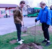 В память о деревнях, которые исчезли из-за аварии в Чернобыле. В Гомеле учащиеся колледжа заложили яблоневый сад