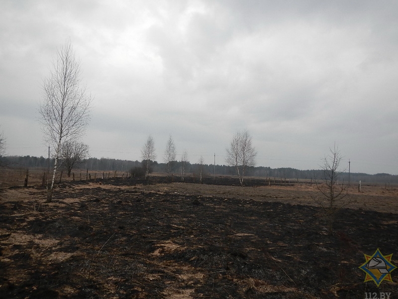 На пожаре в Речицком районе при тушении травы погибла пенсионерка-4