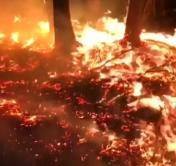 В Италии горевшая трава превратилась в огненный смерч: люди оказались в ловушке в тоннеле