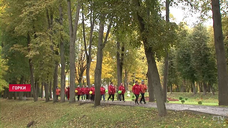 «Забыла про таблетки». Пенсионеры в Горках занялись скандинавской ходьбой-16