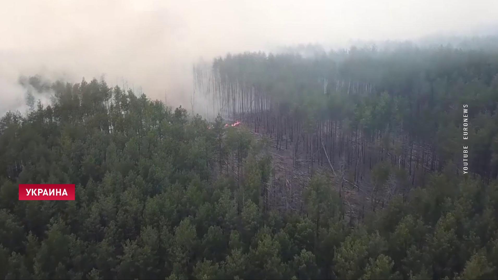 В Украине горят леса в зоне отчуждения. «На территории Гомельской области не зафиксированы повышения радиационного фона»-10