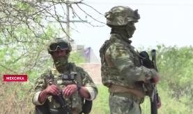 В Мексике из-за закрытых торговых объектов участились случаи грабежа и мародерства