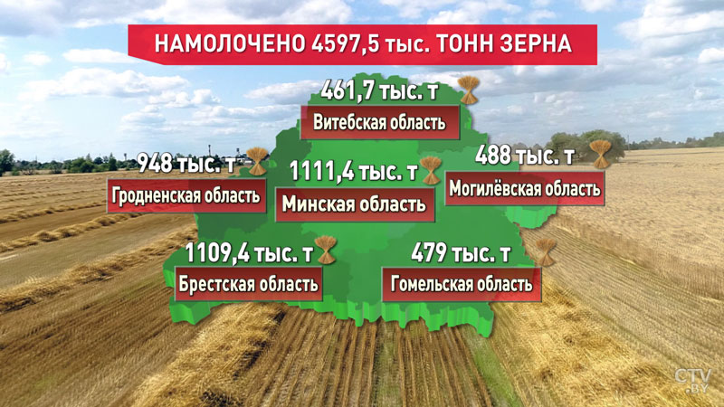 В Беларуси собрано почти 4 млн 600 тысяч тонн зерна -1