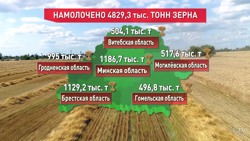 Уборочная – 2019. В Беларуси убрано зерновых с 70% площадей-1