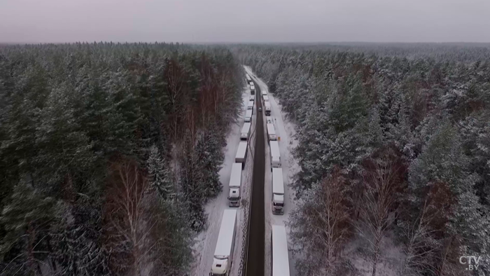 Почти 5 тысяч фур ожидают въезда в ЕС на границе с Беларусью-1