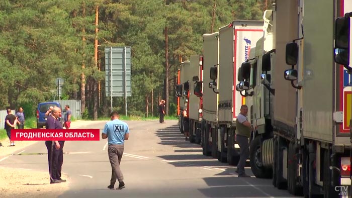 Более 1 800 фур ожидают выезда из Беларуси в Евросоюз. Что происходит на границе?-1