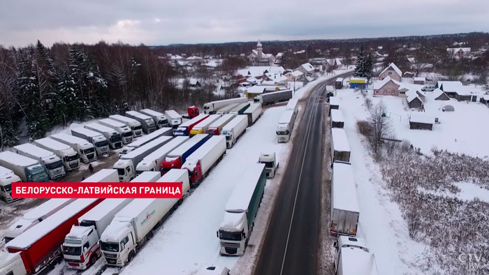 «В режиме ожидания». Почему тысячи фур не могут попасть в Европу из Беларуси?-4