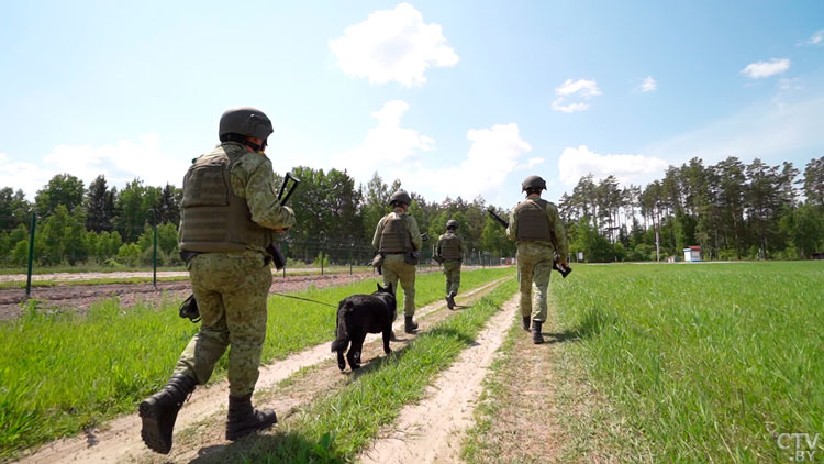 ГПК Беларуси: провокации украинской стороны будут незамедлительно пресекаться-1