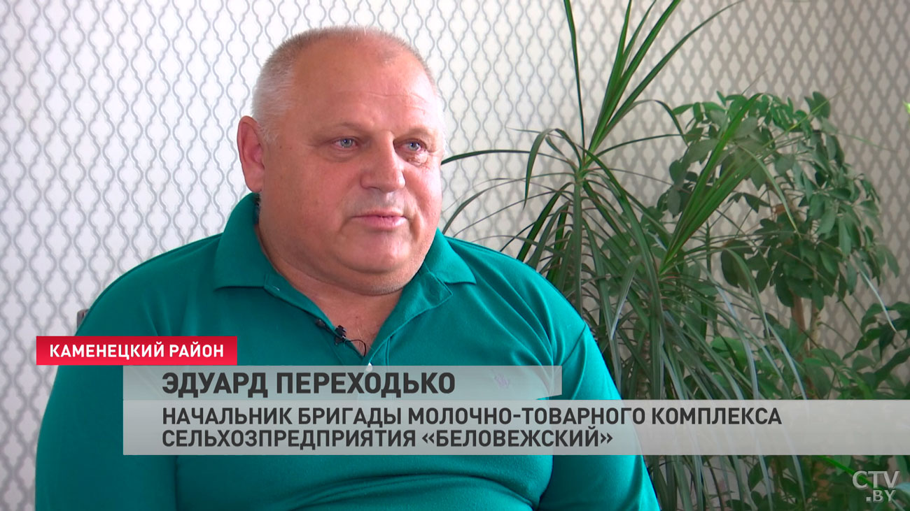 «Как страну Украину, считаю, похоронили». Почему этот мужчина оставил молочную ферму на 200 голов и уехал в Беларусь?-7