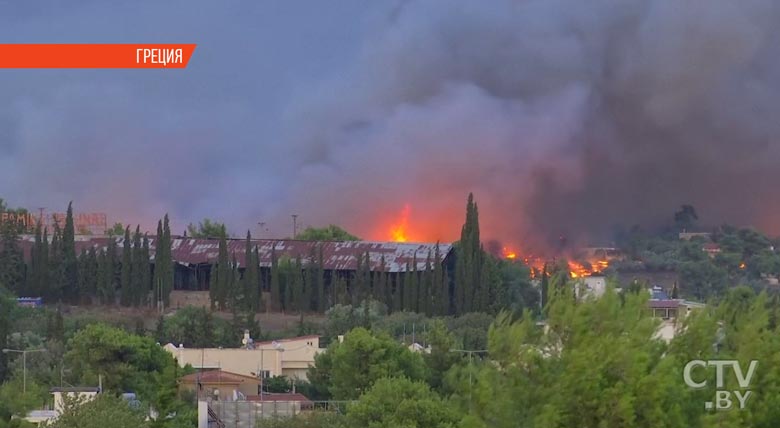 Природные пожары в Греции добрались до Афин и Коринфа: погибли более 70 человек-1