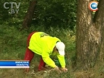 В Беларуси появились первые случаи отравления грибами В Беларуси появились первые случаи отравления грибами