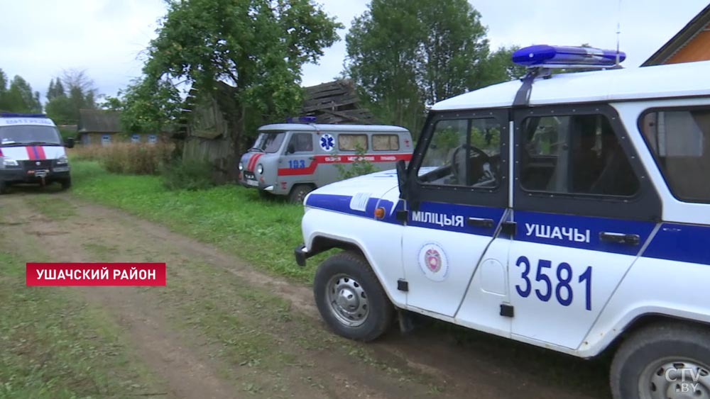 Думала, нельзя дважды войти в одну реку. Точнее, в лес. Оказалось, можно. История женщины, которая пошла в лес и пропала-10