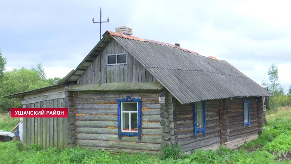 Думала, нельзя дважды войти в одну реку. Точнее, в лес. Оказалось, можно. История женщины, которая пошла в лес и пропала-25