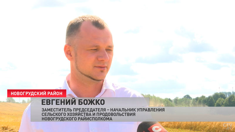 «Перешагнуть планку». Урожайность Гродненской области может превысить прошлогоднюю-4