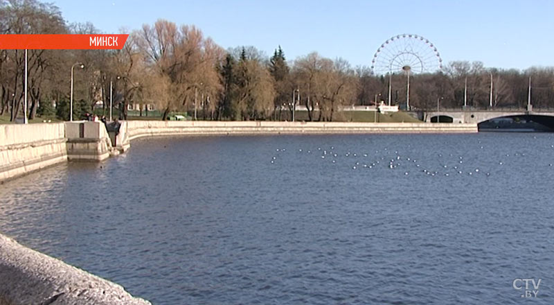 Последствия непогоды: в Гродно из-за сильного ветра упала 6-метровая стела-1